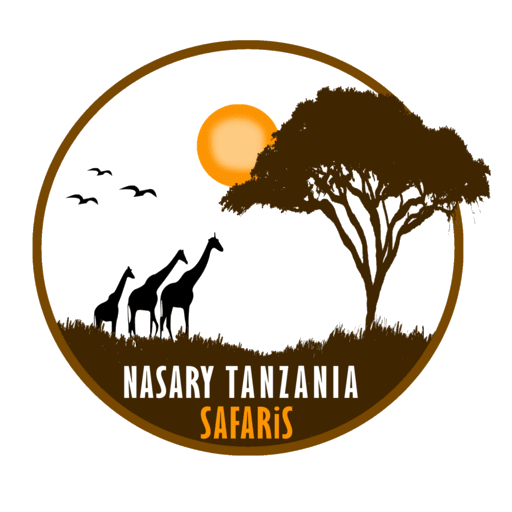 Nasary Safaris Logo